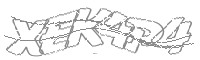 Check code